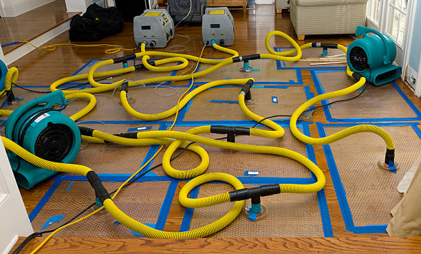 Professional Basement Flood Cleanup technician working in Jewett, OH